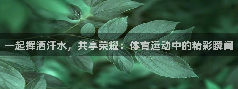 3377体育官方app下载：一起挥洒汗水，共享荣耀：体育运动中的精彩瞬间