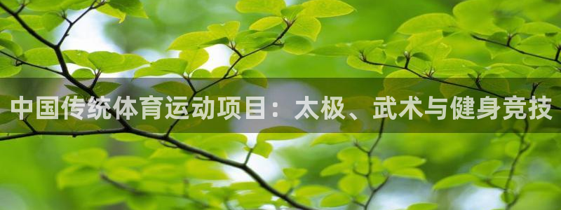 3377体育官网下载：中国传统体育运动项目：太极、武术与健身竞技