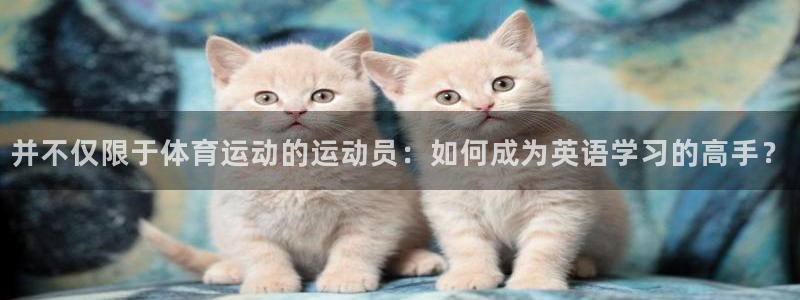 3377体育app登录入口：并不仅限于体育运动的运动员：如何成为英语学习的高手？