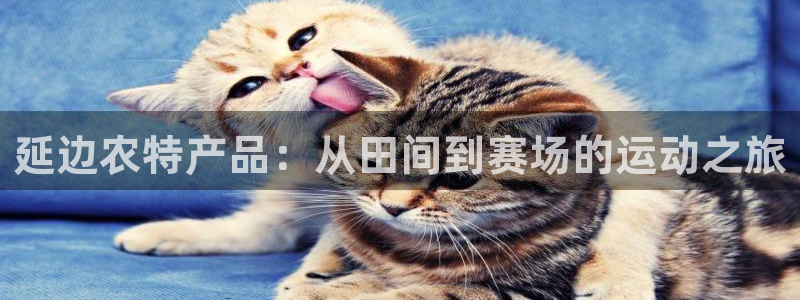3377体育官网入口下载最新：延边农特产品：从田间到赛场的运动之旅