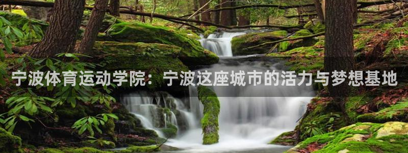 3377体育手机平台：宁波体育运动学院：宁波这座城市的活力与梦想基地