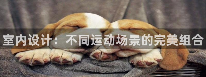 3377体育靠谱吗：室内设计：不同运动场景的完美组合
