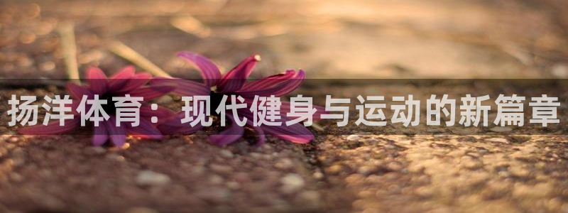 3377体育官网入口网页版：扬洋体育：现代健身与运动的新篇章