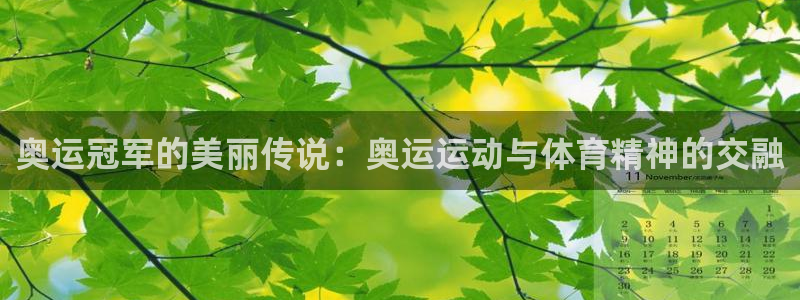3377体育在线登录官网入口：奥运冠军的美丽传说：奥运运动与体育精神的交融