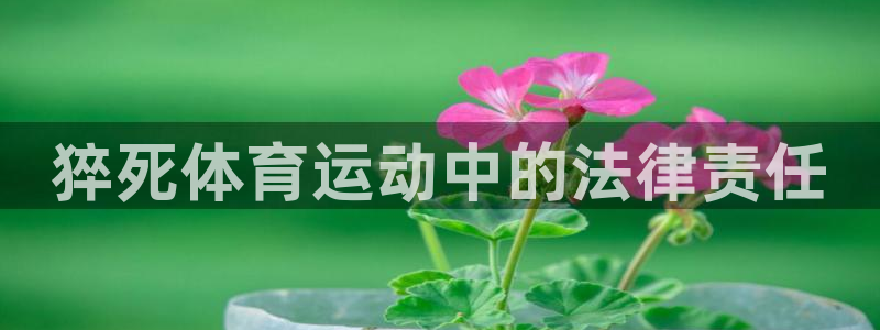 3377体育靠谱吗：猝死体育运动中的法律责任