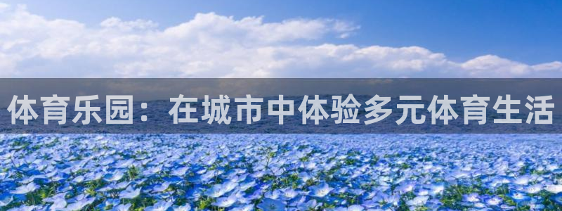 3377体育(中国)官方网站：体育乐园：在城市中体验多元体育生活